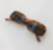 إنستغرام