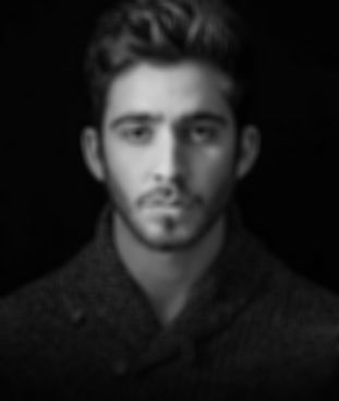 الفريق